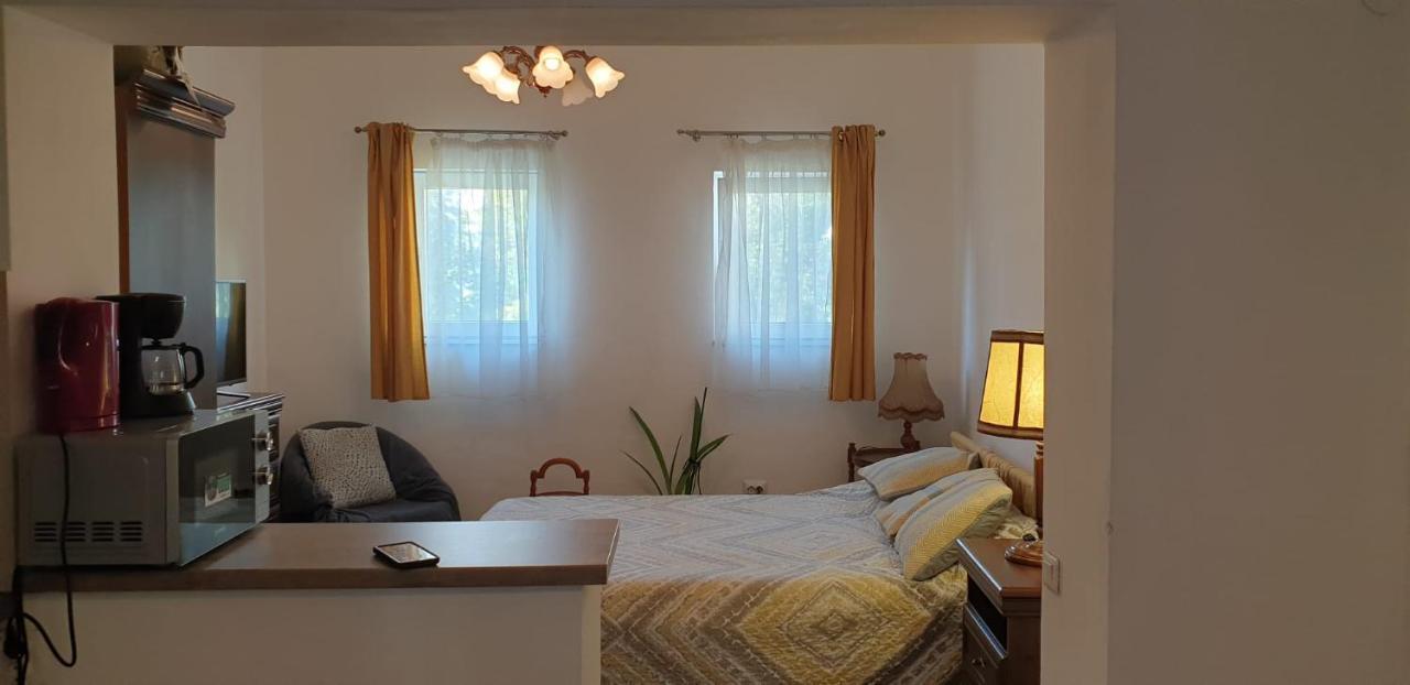 Cozy Home In The Heart Of Cluj-Napoca Exteriör bild