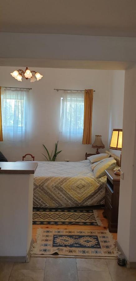 Cozy Home In The Heart Of Cluj-Napoca Exteriör bild