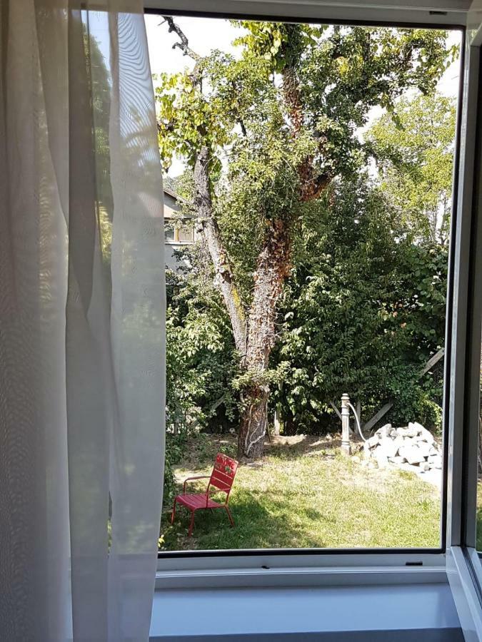 Cozy Home In The Heart Of Cluj-Napoca Exteriör bild